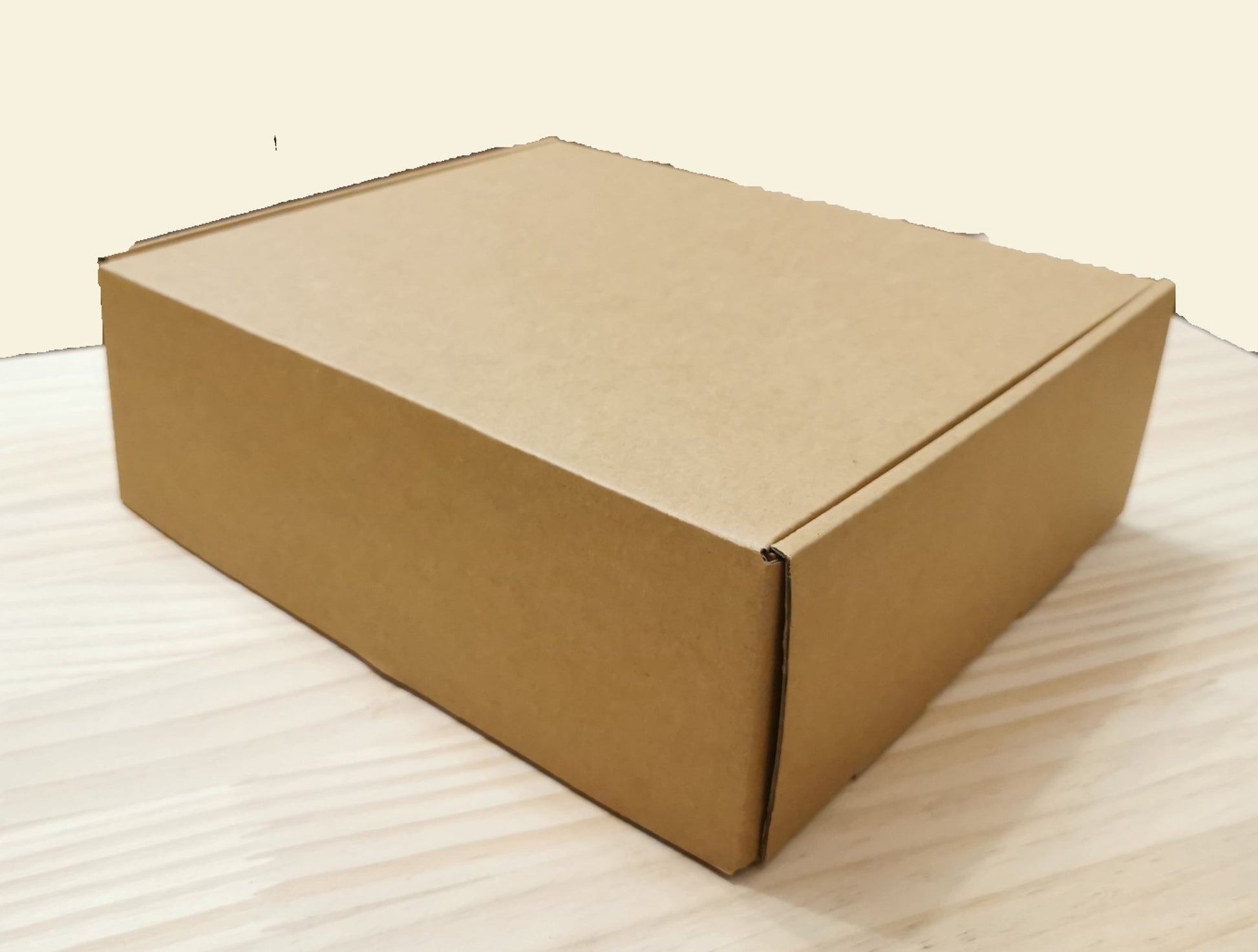 GZPUYAN OZONE - AUTO - 380M aquarium ozone generator come with orp probe - PUYAN - ELEC